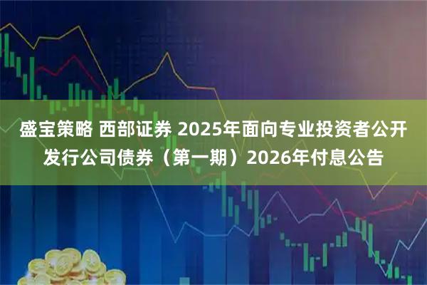 盛宝策略 西部证券 2025年面向专业投资者公开发行公司债券（第一期）2026年付息公告