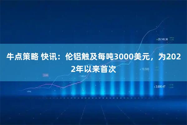 牛点策略 快讯：伦铝触及每吨3000美元，为2022年以来首次