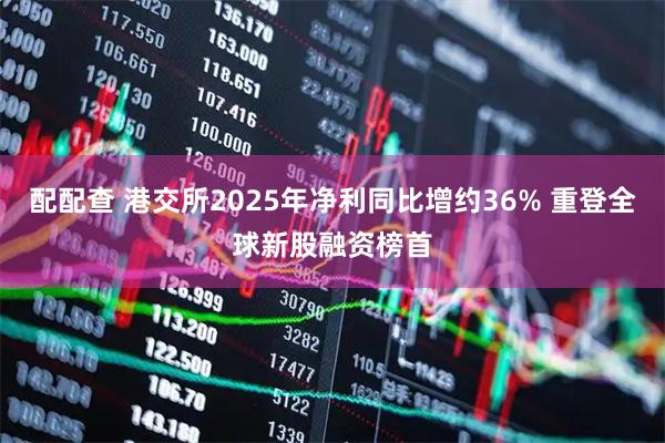 配配查 港交所2025年净利同比增约36% 重登全球新股融资榜首